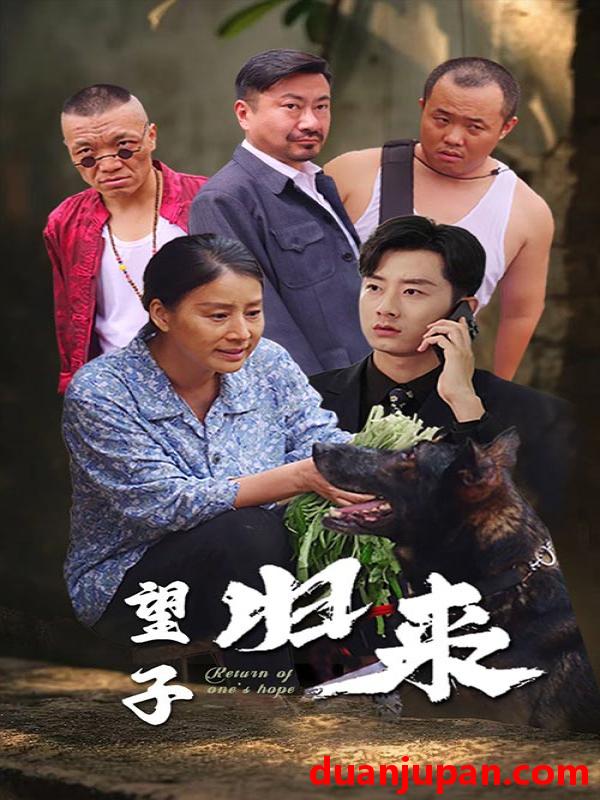 短剧 短剧 望子归来（50集） 