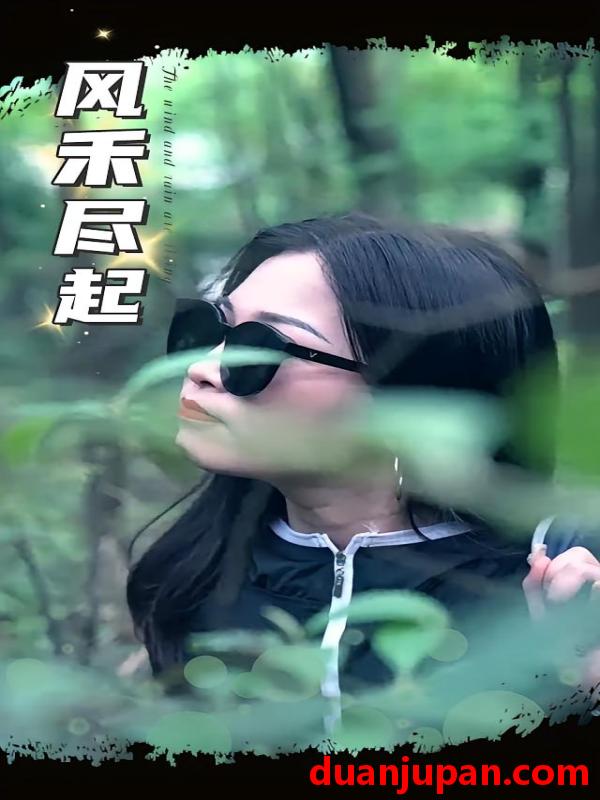 短剧 短剧 风禾尽起（31集）