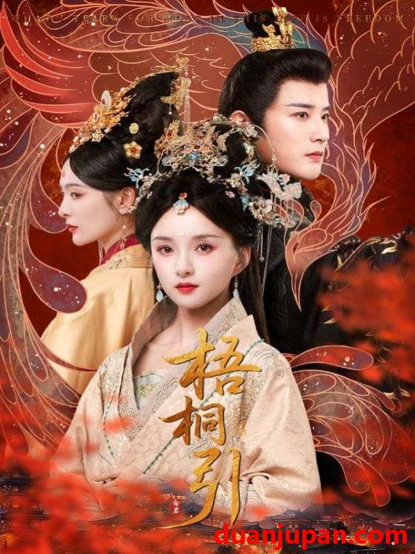 短剧 短剧 梧桐引（70集）武敏/伍中元