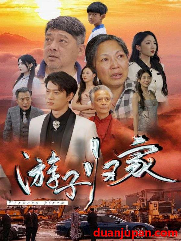 短剧 短剧 游子归家（88集） 