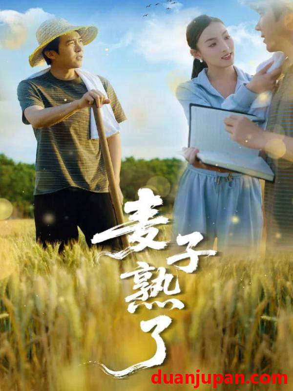 短剧 短剧 麦子熟了（52集）宋雯娟