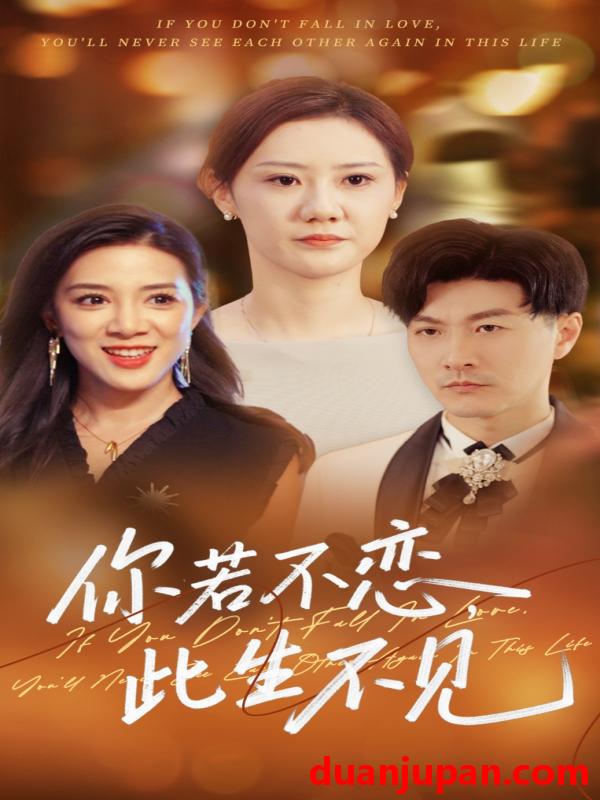 短剧 短剧 你若不恋此生不见（70集）开心/樊磊