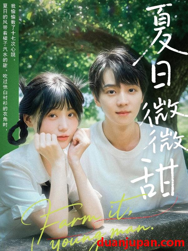 短剧 短剧 夏日微微甜（79集）苏泽林/宋澎澎