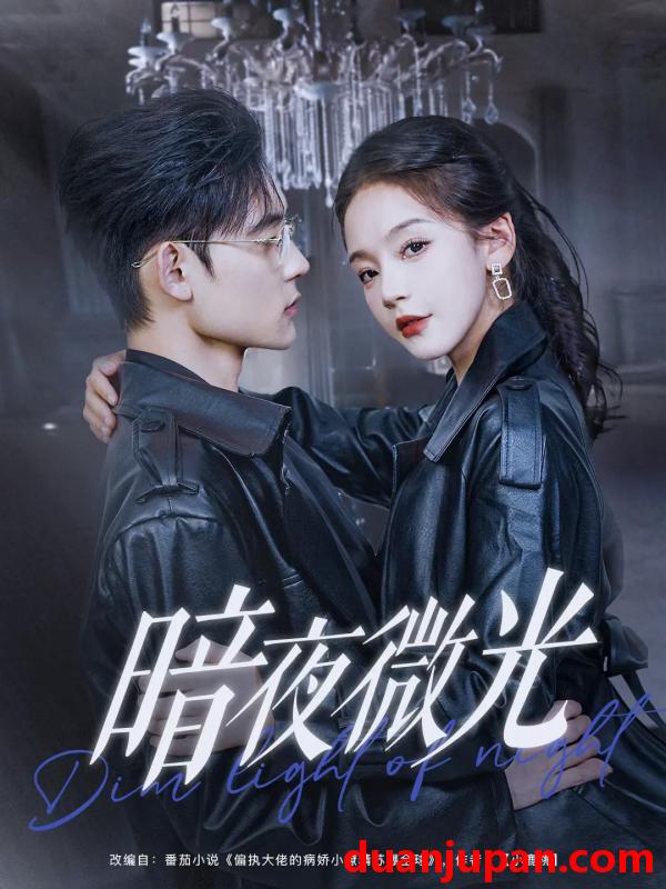 短剧 短剧 暗夜微光（86集）张力壬/徐波滴