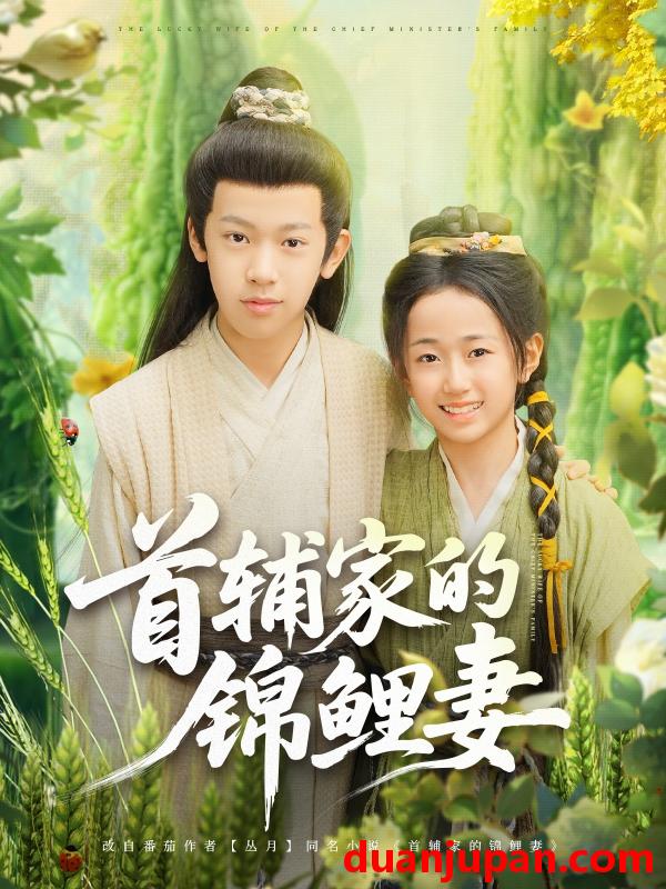 短剧 短剧 首辅家的锦鲤妻（82集）刘星辰/杨景天