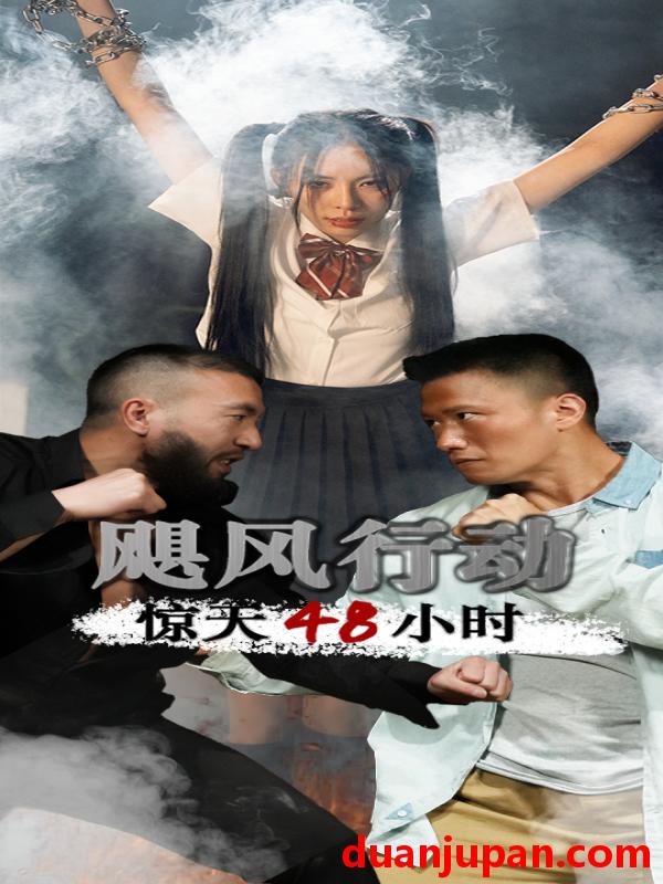 短剧 短剧 飓风营救惊天48小时（82集） 