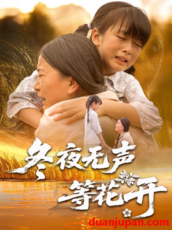 短剧 短剧 冬夜无声等花开（80集）安敏/王珊珊
