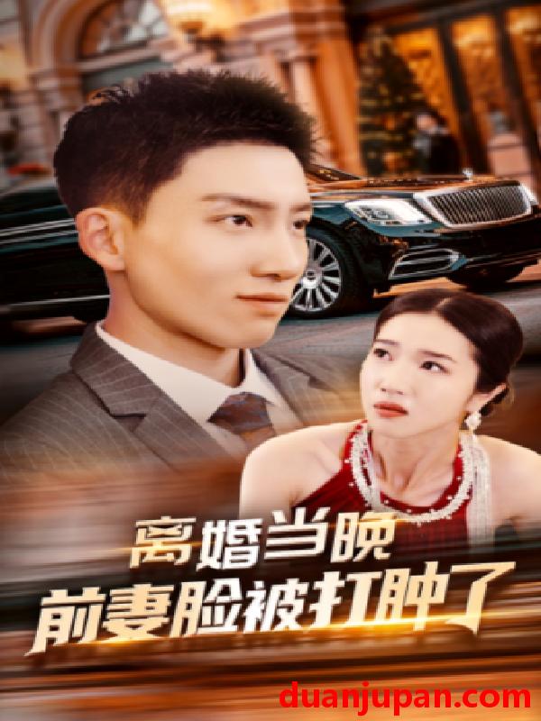 短剧 短剧 离婚当晚前妻脸被打肿了（60集） 