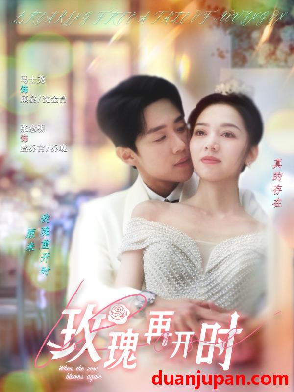 短剧 短剧 玫瑰再开时（59集）马士尧/张意枂