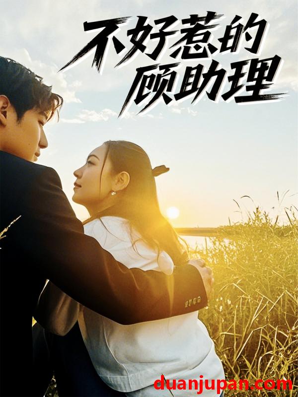 短剧 短剧 不好惹的顾助理（67集）孟祥鑫/李雪阳