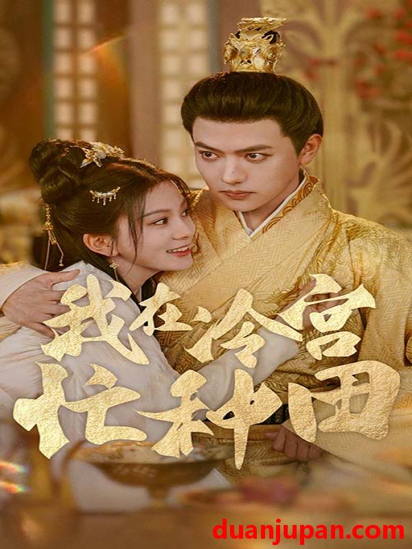 短剧 短剧 我在冷宫忙种田（100集）马秋元 