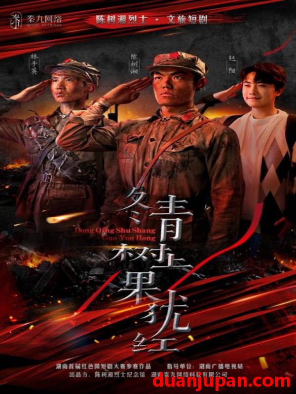 短剧 短剧 冬青树上果犹红（9集）张懋/夏天琪