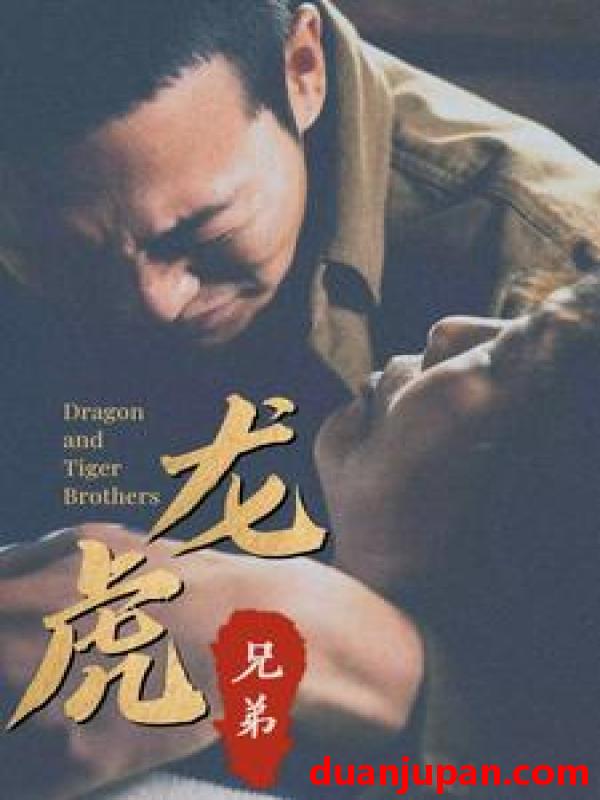 短剧 短剧 龙虎兄弟（80集） 