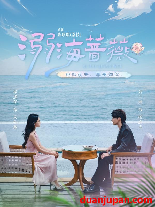 短剧 短剧 溺海蔷薇（80集）刘兰博/杨洛仟