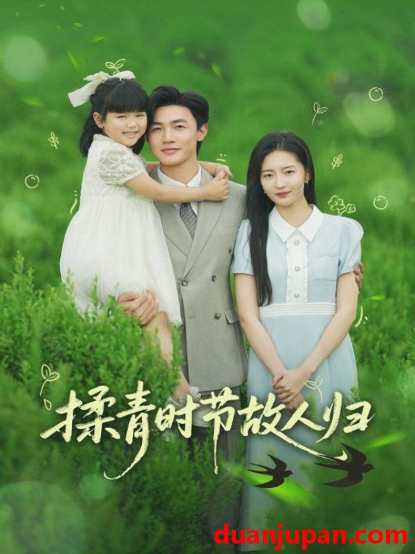 短剧 短剧 揉青时节故人归（60集）张嘉怡/郭奕宁