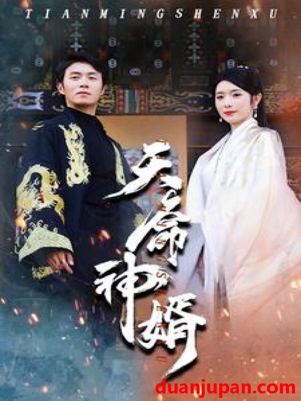 短剧 短剧 天命神婿（80集） 
