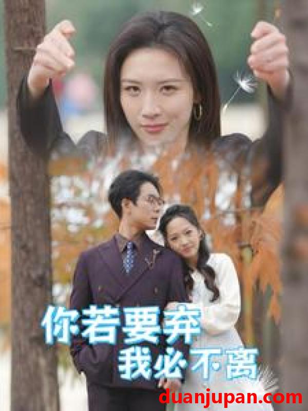 短剧 短剧 你若要弃我必不离/绝望主妇努点天灯（30集）王予然 