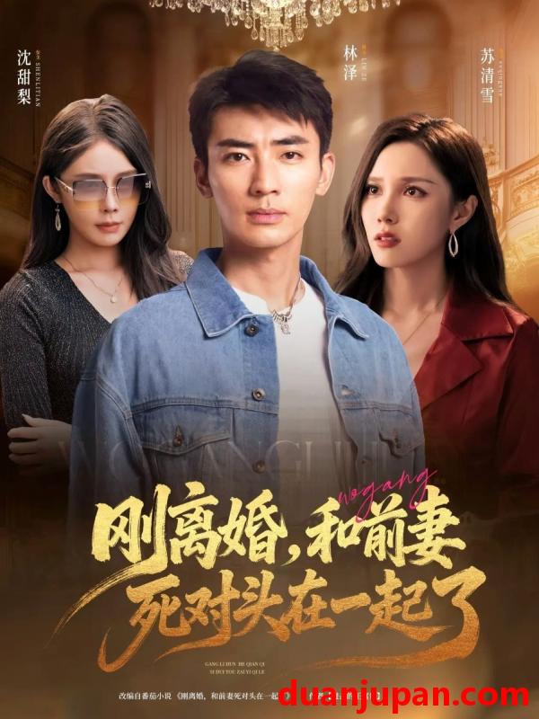 短剧 短剧 刚离婚和前妻死对头在一起 (73集)