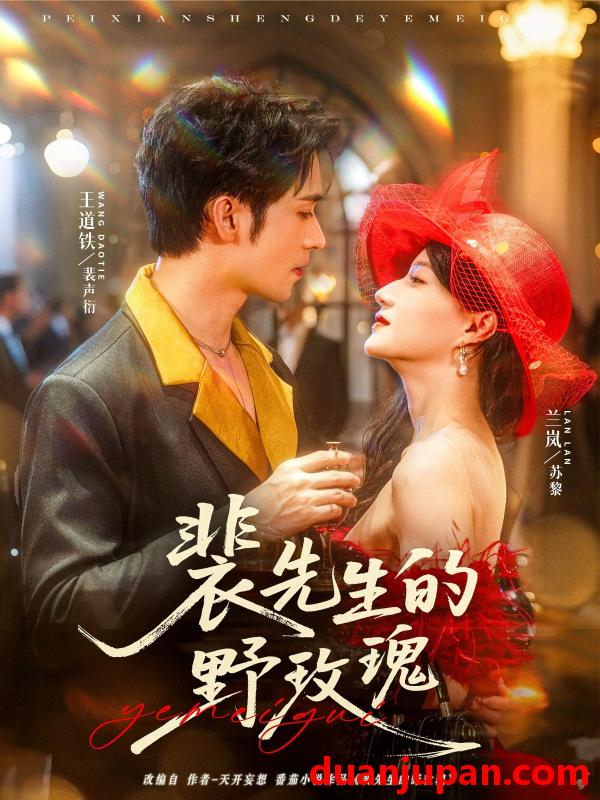 短剧 短剧 裴先生的野玫瑰（72集）兰岚/王道铁