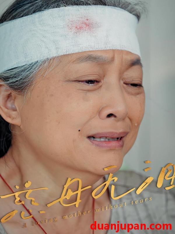 短剧 短剧 慈母无泪（30集）