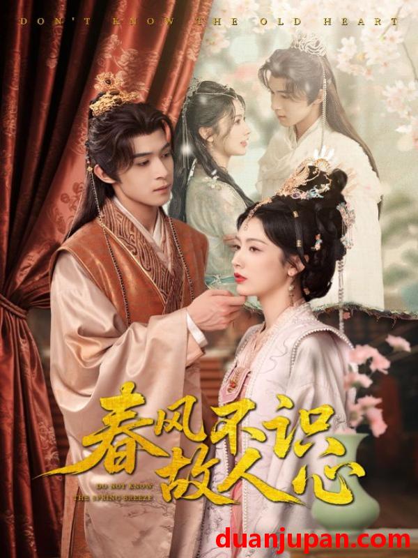 短剧 短剧 春风不识故人心（70集）吴思腾/潘悦