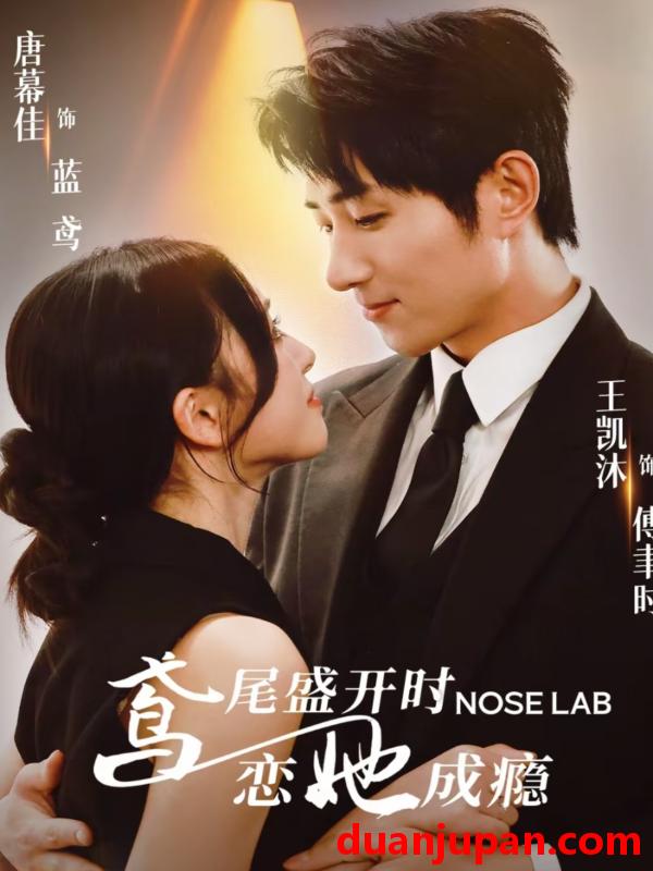 短剧 短剧 鸢尾盛开时恋她成瘾（20集）王凯沐/唐幕佳