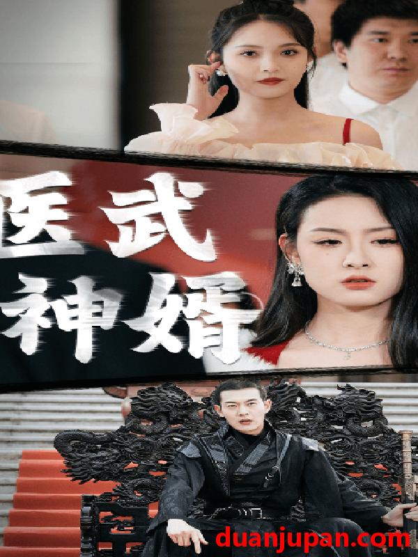 短剧 短剧 医武神婿（90集） 