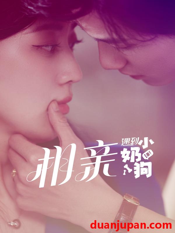 短剧 短剧 相亲遇到小奶狗（80集） 