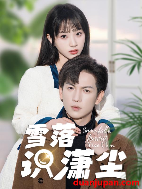 短剧 短剧 雪落识潇尘（80集） 