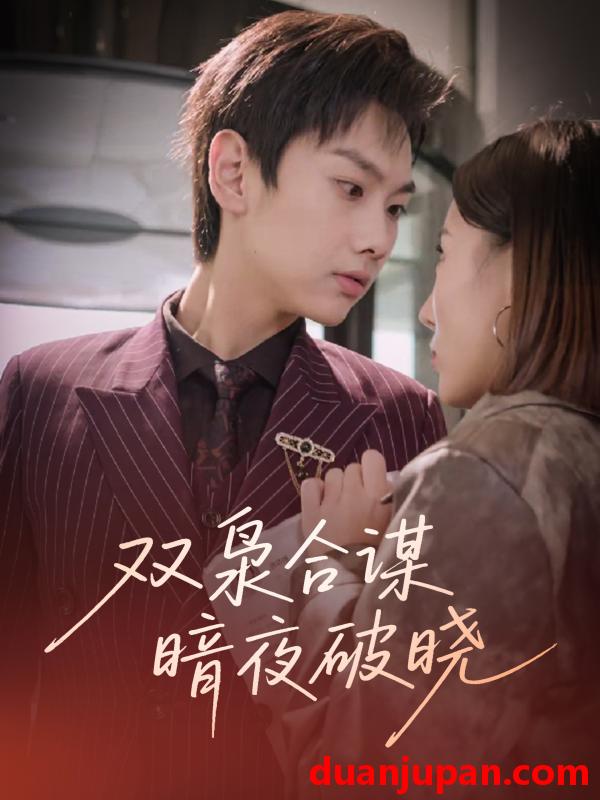 短剧 短剧 双枭合谋暗夜破晓（30集）刘松涛/刘安然