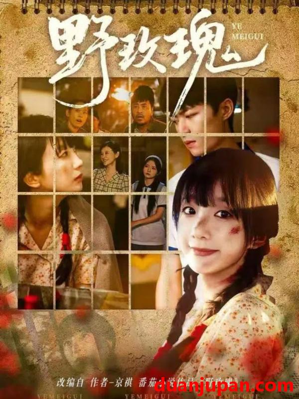 短剧 短剧 野玫瑰（82集全）钊瑞/象韵洁