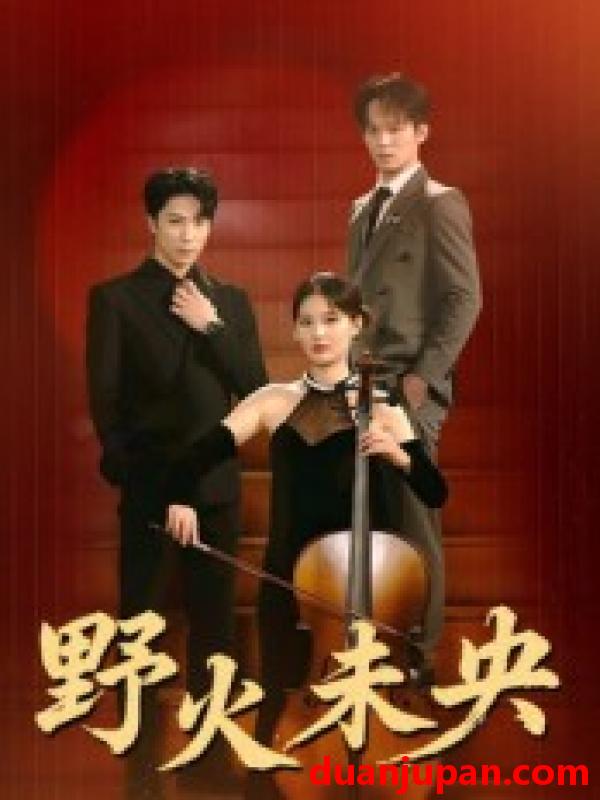 短剧 短剧 野火未央（40集全）张旭/刘畅