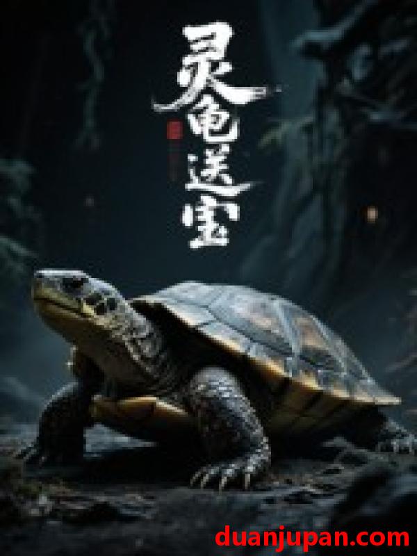 短剧 灵龟送宝（25集）刘芙蓉