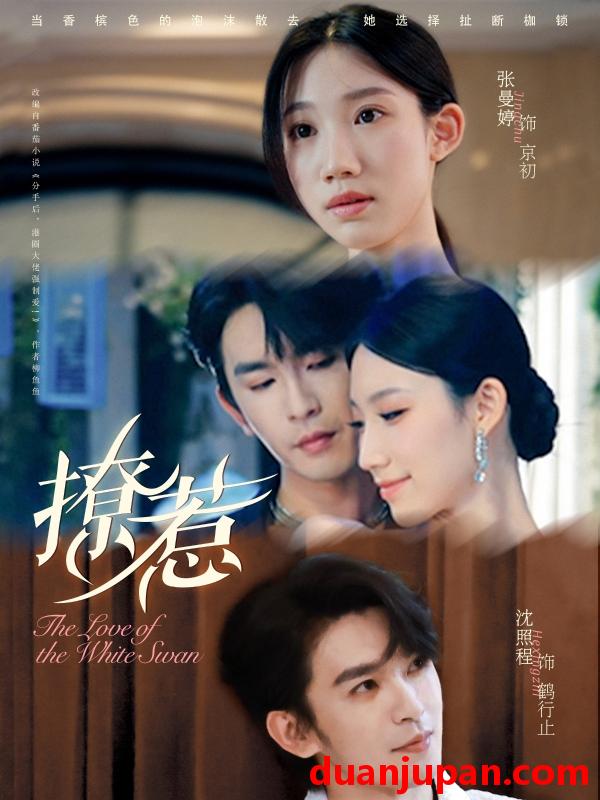 短剧 短剧 撩惹（80集全）张曼婷/沈照程