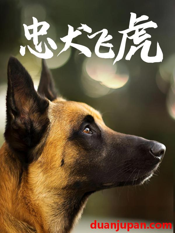 短剧 短剧 忠犬飞虎（33集全）吴桂洲/谭镁纶
