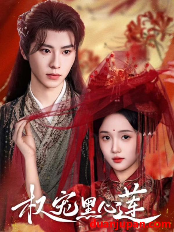 短剧 短剧 权宠黑心莲（78集全）一航/至春禾