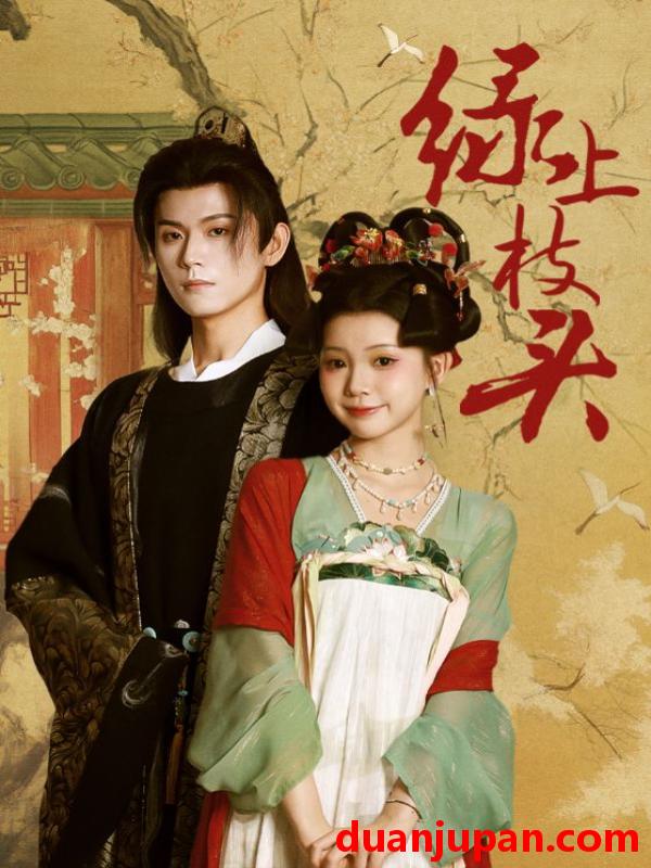 短剧 绿上枝头（73集）何善凯＆李丫丫