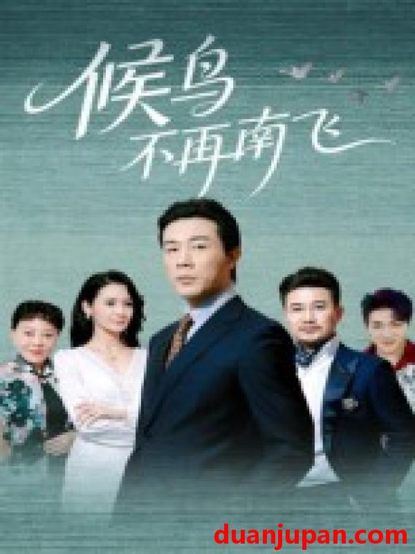 短剧 候鸟不再南飞（80集）苗峯&王真真