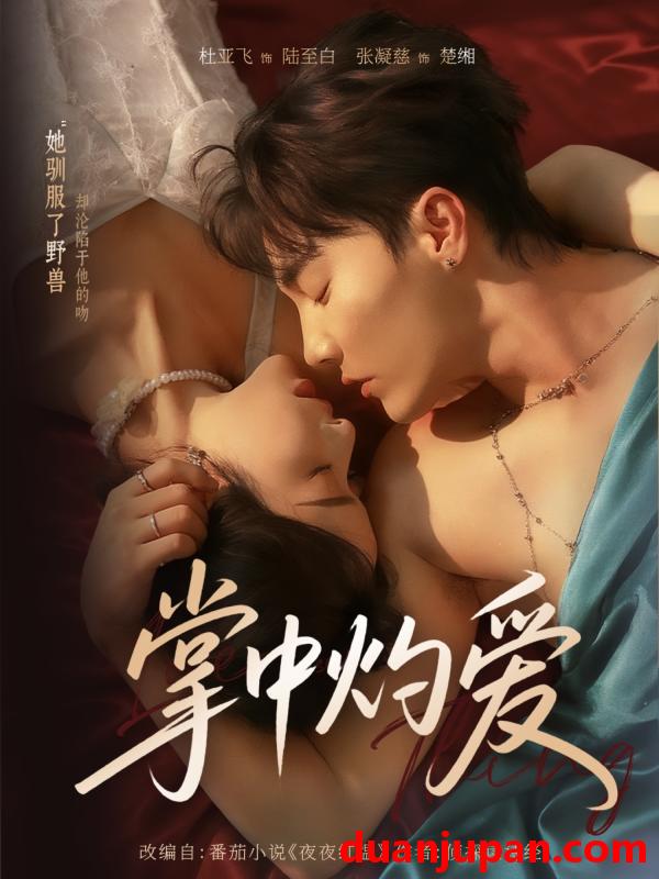 短剧 短剧 掌中灼爱（62集全）杜亚飞/张凝慈