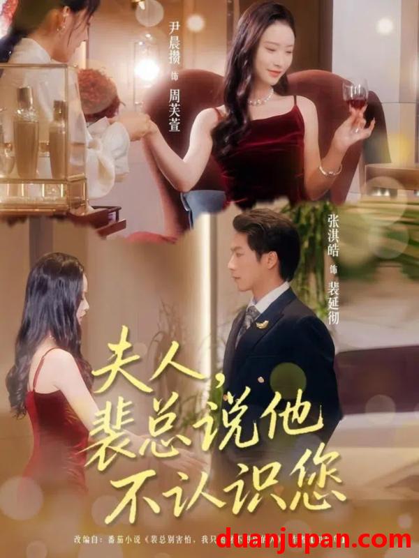 短剧 夫人裴总说他不认识您（75集全）张淇皓/尹晨攒