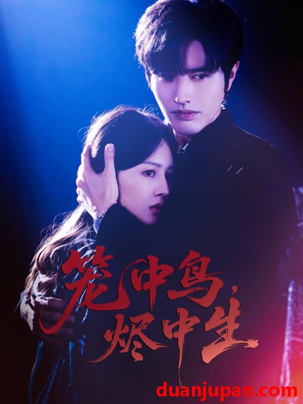 短剧 短剧 笼中鸟，烬中生（60集全）罗正/郑初晨
