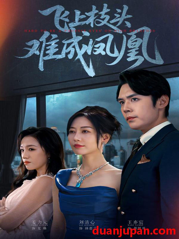 短剧 飞上枝头难成凤凰（47集）刘清心&王亦宸