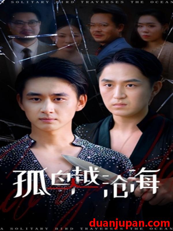 短剧 孤鸟越沧海 (60集) 陈柄希&张梦薇