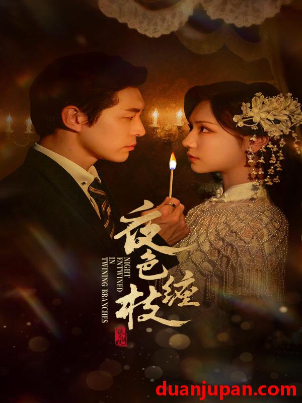 短剧 短剧 夜色缠枝（60集全）赵廷义/王云云