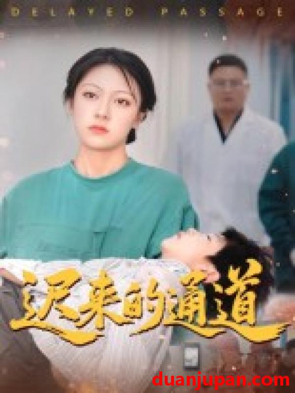 短剧 短剧 迟来的通道（30集全）张永超