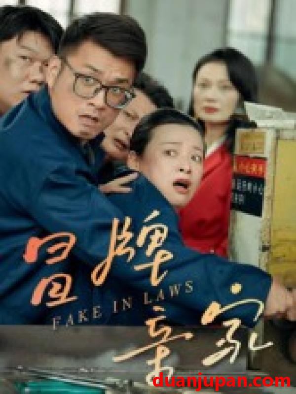 短剧 冒牌亲家（30集）朱青青&李炜