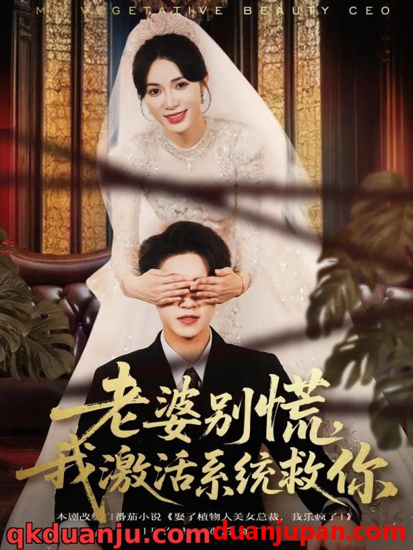 短剧 短剧 老婆别慌，我激活系统救你（80集全）孙航/柯珂