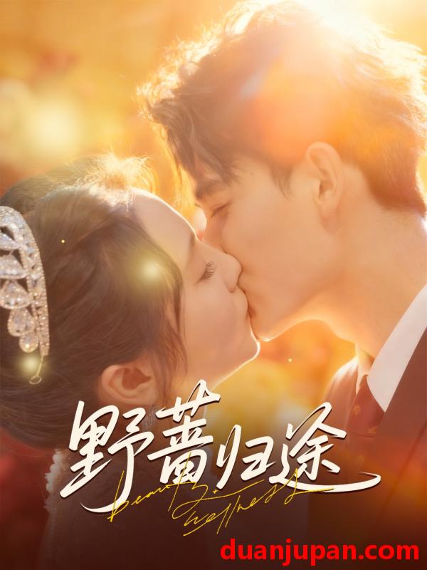 短剧 野蔷归途（80集）李书滔＆尚芸琪
