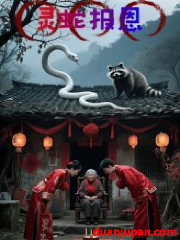 短剧 灵蛇报恩（30集）小黑