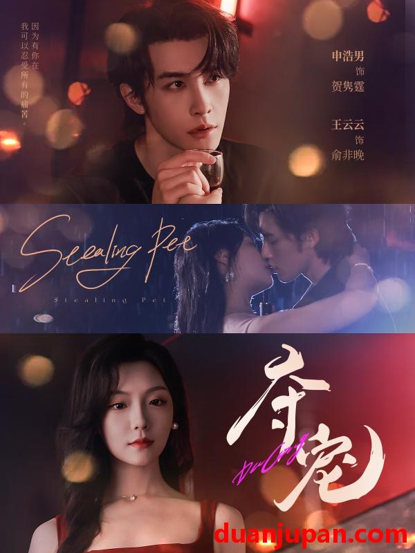 短剧 短剧 夺宠（88集全）申浩男/王云云